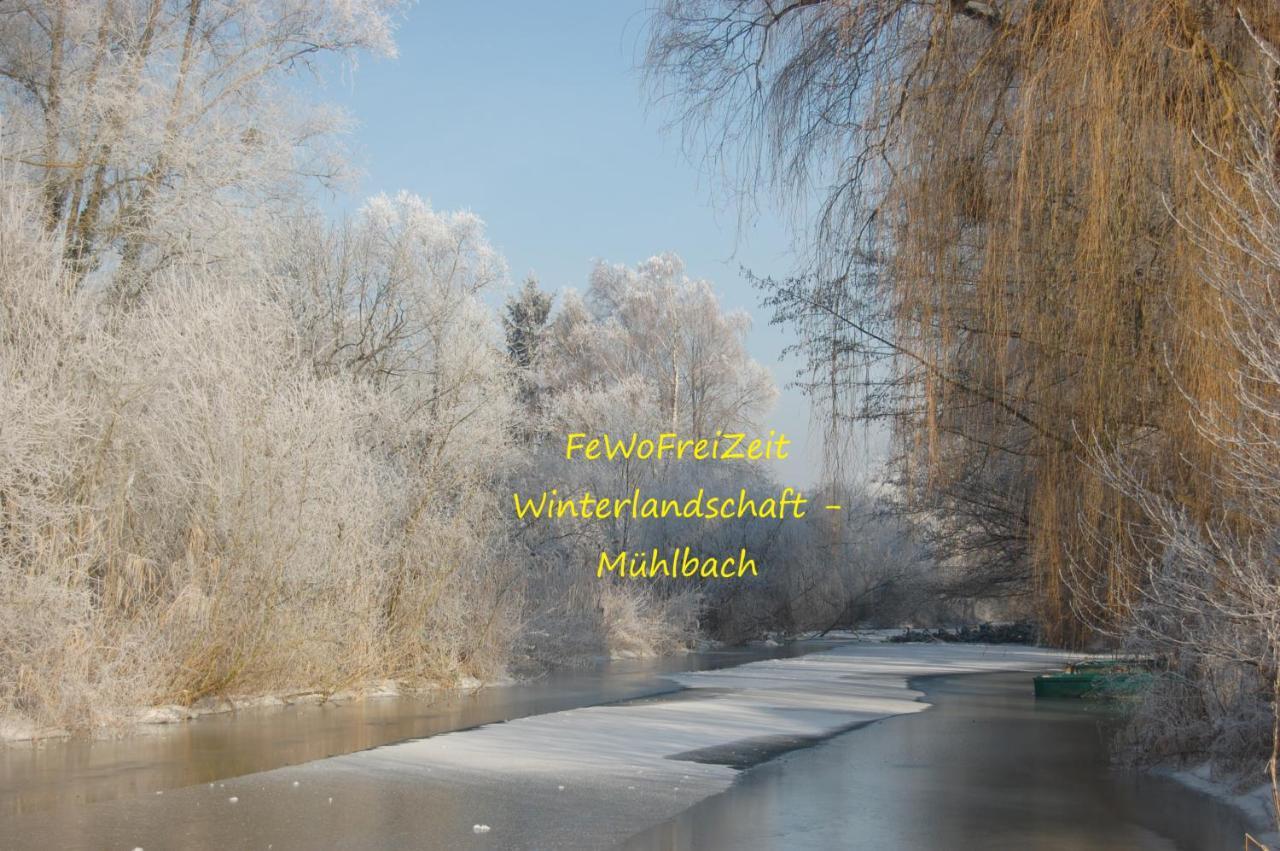 Fewofreizeit Rheinau Kültér fotó